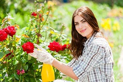 Affordable Gardening Services around SW1 District