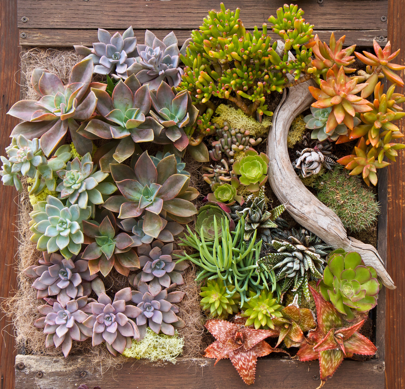 garden design garden care