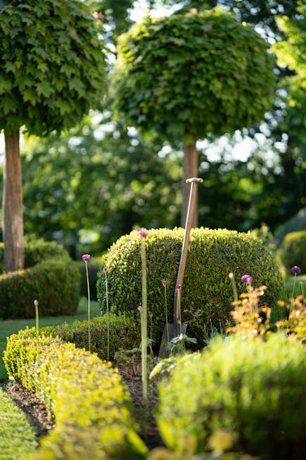 A well-maintained garden scene featuring neatly trimmed evergreen hedges and a circular shrub with dense, rounded foliage. The garden is embellished with a variety of flowering plants, including delicate purple blooms on tall stems, set against a lush backdrop of green trees with bright, sunlit leaves. The soil in the flower bed appears moist and dark, indicating recent watering or soil preparation. In the foreground, a garden hand tool—likely a small hoe or trowel—is embedded in the soil, suggesting ongoing gardening work. The surrounding lawn has freshly cut grass with a uniform appearance, and a paved pathway runs alongside the garden beds. Tall, spherical topiary trees with dense, green foliage provide vertical structure to the landscape, while sunlight filters through the trees, creating dappled light and shadow effects. The scene evokes careful garden maintenance and landscaping activities, with a focus on lawn care, hedge trimming, and flower planting—services provided by Gardeners Greenwich for Maze Hill residents.