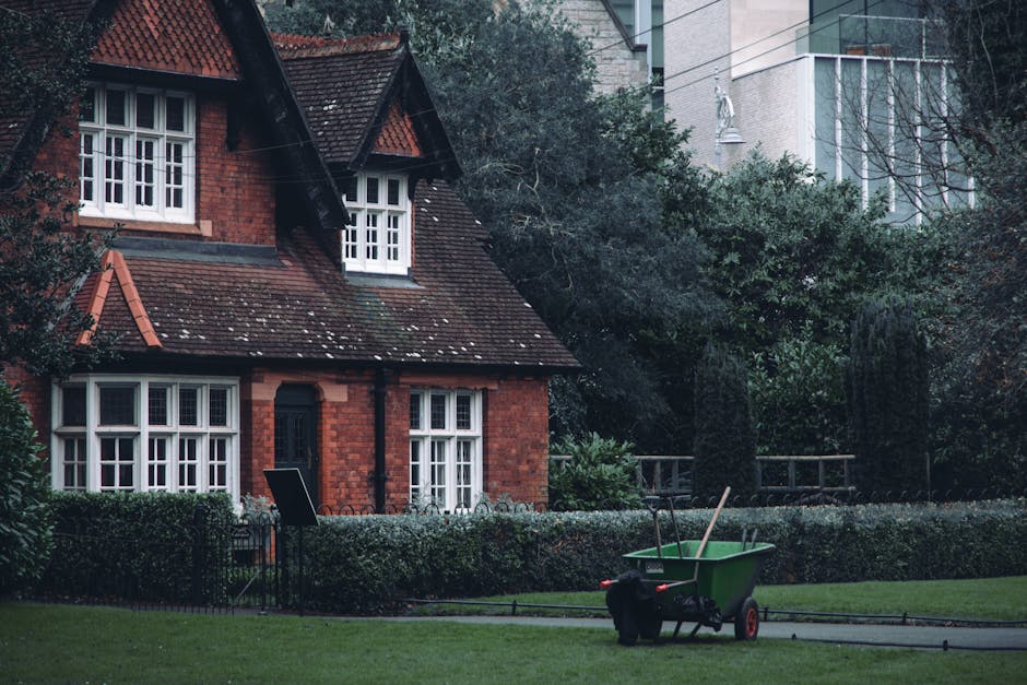 A neatly maintained garden in front of a traditional red brick house with a pitched roof and white-framed windows. The garden features a well-trimmed hedge bordering a lush green lawn, with a small pathway leading to the house. In the foreground, a green wheelbarrow with black handles and a red wheel sits on the grass, filled with gardening tools such as a rake and a garden fork. The hedge shows signs of recent hedge trimming, with some cut branches lying nearby. Tall trees and dense shrubbery surround the garden, providing a natural backdrop and privacy. The lighting is soft, indicating overcast weather, creating a calm and orderly outdoor scene, typical of garden maintenance and landscaping work carried out by Gardeners Greenwich, as showcased on the page for Maze Hill residents in Greenwich.