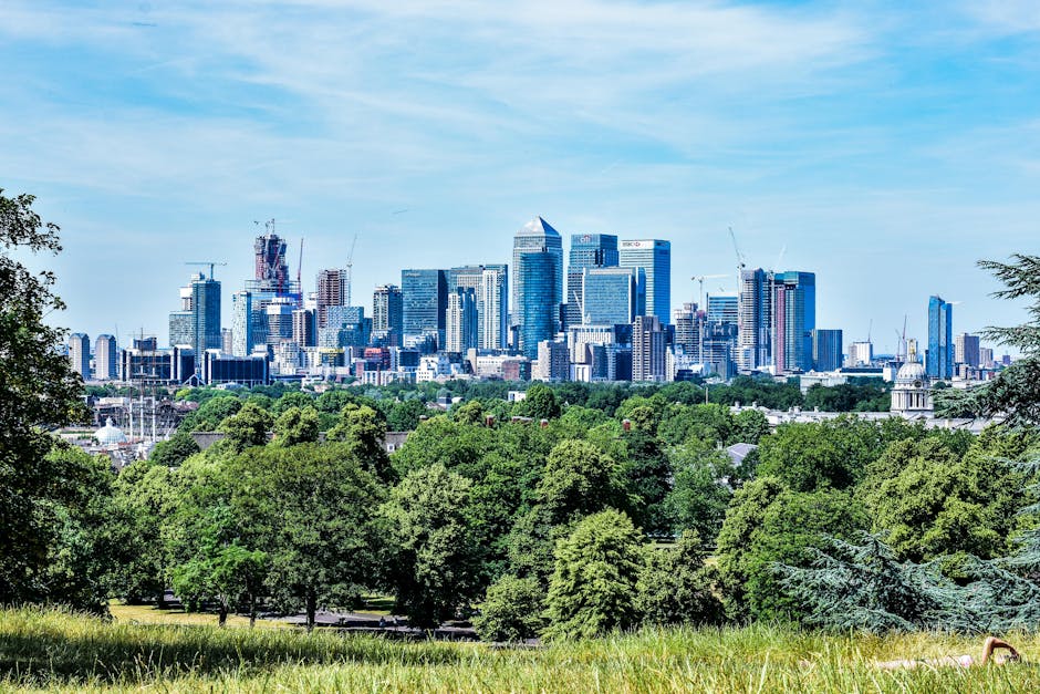 A wide view of a lush green lawn with numerous people relaxing, lounging, and picnicking on the grass in front of the historic Queen's House of Greenwich, which features classical architecture with white walls, columns, and domed towers. Behind the Queen's House, there is a body of water with trees along the shoreline, and a modern city skyline with tall glass skyscrapers under a clear blue sky. The image captures a bright, sunny day with natural light illuminating the landscape, highlighting the contrast between the well-maintained lawns and the urban environment beyond. The scene suggests outdoor leisure and landscape maintenance typical of a historic and outdoor public space managed by professionals like Gardeners Greenwich, serving SE10 homes near Greenwich Park.