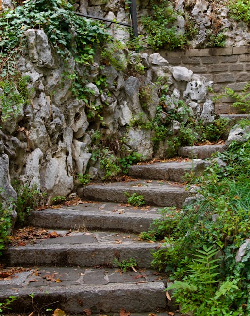 A set of weathered stone steps leading upward through a small garden area, flanked by a rough green stone wall on the left and dense foliage on the right. The steps are uneven and partially covered with fallen leaves and small weeds, indicating outdoor garden maintenance. The stone wall is partially covered with climbing plants and ivy, adding a natural, slightly wild appearance to the scene. At the top of the stairs, there is a metal railing, suggesting a terrace or elevated garden space behind. The environment is shaded, with dappled sunlight filtering through the surrounding greenery, creating a tranquil atmosphere. This setting exemplifies how Gardeners Greenwich can assist with garden maintenance and landscaping work in tricky access terraces, helping to maintain aesthetic and functional outdoor spaces with natural textures, plants, and stone features.