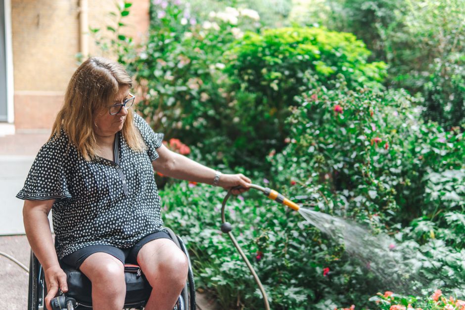 A woman with long brown hair, wearing glasses and a black and white polka-dot blouse, is seated in a wheelchair while watering lush green bushes with pink and red flowers using a hose. The garden features a mix of trimmed grass, flowering shrubs, and paving stones, with a background of a brick wall and additional greenery. The soil appears moist from recent watering, and the garden is well-maintained, reflecting careful garden maintenance and landscaping work typical of tricky access gardens in Greenwich terraces. Natural daylight illuminates the scene, highlighting the vibrant foliage and the woman's focused activity. This image exemplifies outdoor care provided by Gardeners Greenwich in the context of maintaining and nurturing terrace gardens with limited access.