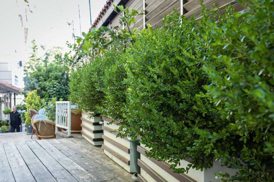 A set of weathered stone steps leading upward through a small garden area, flanked by a rough green stone wall on the left and dense foliage on the right. The steps are uneven and partially covered with fallen leaves and small weeds, indicating outdoor garden maintenance. The stone wall is partially covered with climbing plants and ivy, adding a natural, slightly wild appearance to the scene. At the top of the stairs, there is a metal railing, suggesting a terrace or elevated garden space behind. The environment is shaded, with dappled sunlight filtering through the surrounding greenery, creating a tranquil atmosphere. This setting exemplifies how Gardeners Greenwich can assist with garden maintenance and landscaping work in tricky access terraces, helping to maintain aesthetic and functional outdoor spaces with natural textures, plants, and stone features.
