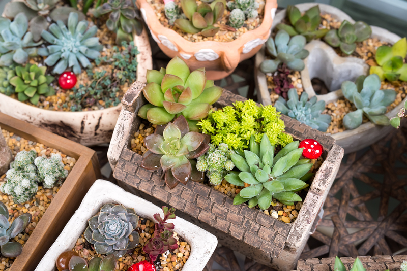 garden care Garden